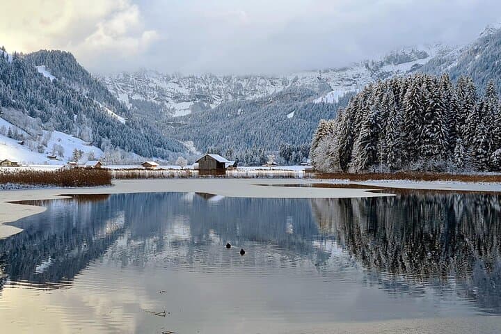Full-Day Bernese Oberland Winter Adventure to Mount First from Zurich photo 2