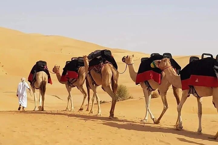 Morning Red Dunes Safari in Lahbab: Dune Bashing, Sandboarding & Camel Ride photo 3