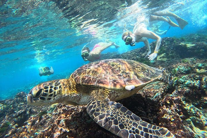 Snorkel with Mantas: 4-Spot Nusa Penida Day Snorkeling Adventure photo 1