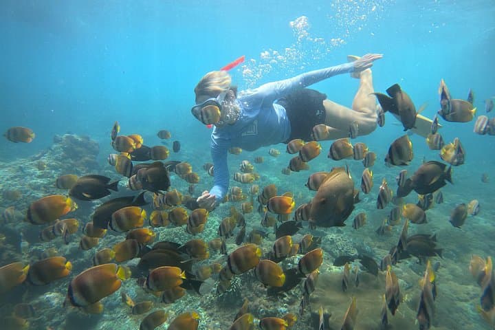 Snorkel with Mantas: 4-Spot Nusa Penida Day Snorkeling Adventure photo 2