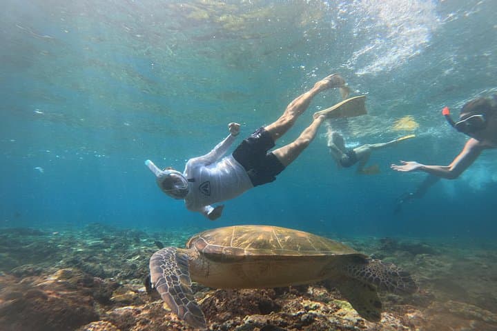 Snorkel with Mantas: 4-Spot Nusa Penida Day Snorkeling Adventure photo 3
