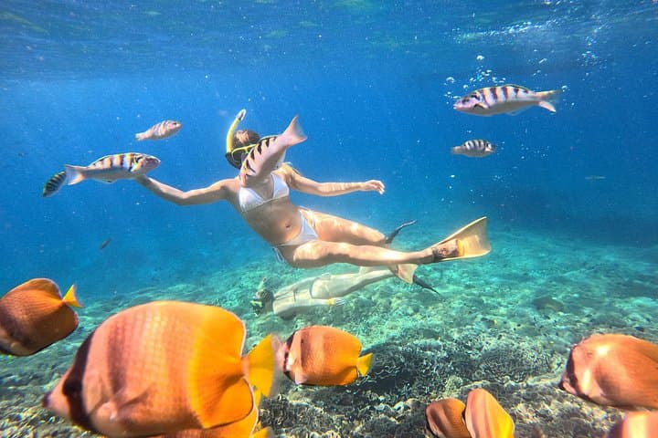 Snorkel with Mantas: 4-Spot Nusa Penida Day Snorkeling Adventure photo 4