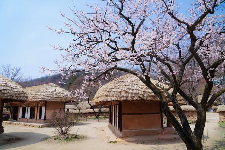 Private Guided Tour of Suwon's Hwaseong Fortress and Folk Village (Optional Incheon Layover) photo 4