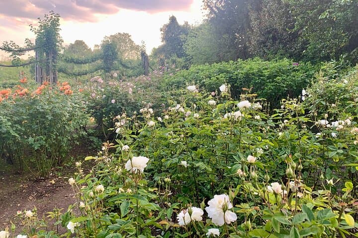Primrose Hill to Regent's Park: Self-Guided Audio Walk Through London's Green Heart photo 5