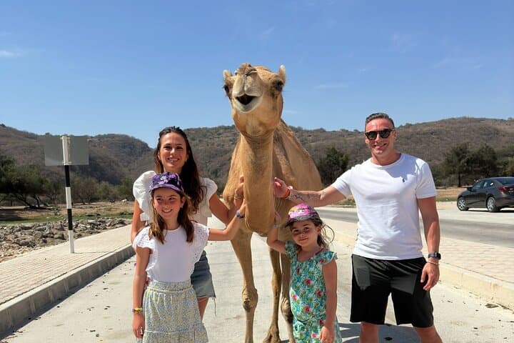 Salalah Half-Day Nature Escape: Wadi Darbat, Taqah Beach & Mount Samhan photo 2