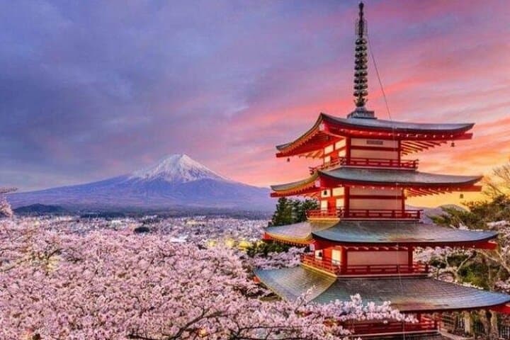 Private Mount Fuji Day Tour from Tokyo — Chureito Pagoda, Kawaguchiko & 5th Station photo 6