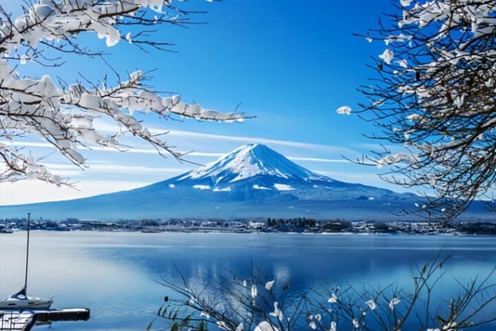 Private Mount Fuji Day Tour from Tokyo — Chureito Pagoda, Kawaguchiko & 5th Station