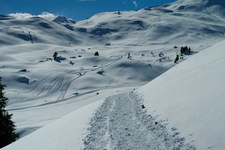 Sledding and Private Lakeside Fondue from Zurich: Rigi Winter Day Trip photo 2