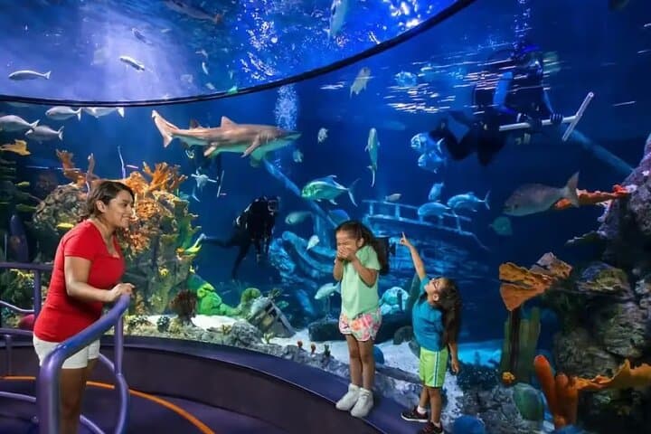 Explore Moody Gardens Aquarium & Rainforest — General Admission in Galveston photo 2