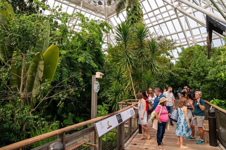 Explore Moody Gardens Aquarium & Rainforest — General Admission in Galveston photo 3