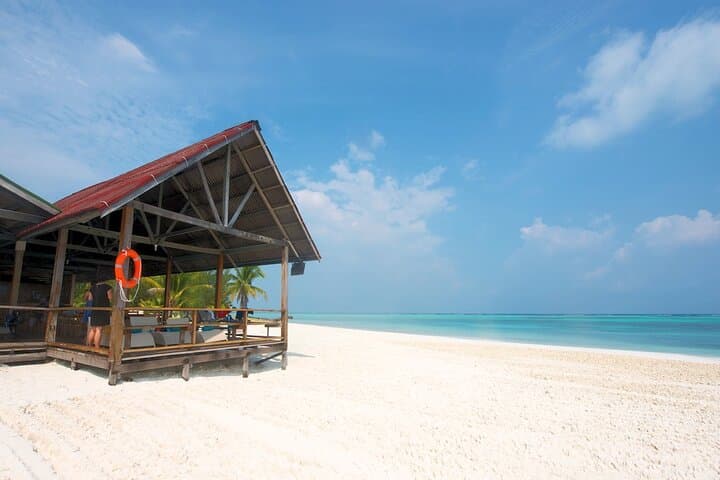 Mengalum Island Snorkel & DSD Dive from Kota Kinabalu: Day Trip Guide photo 3