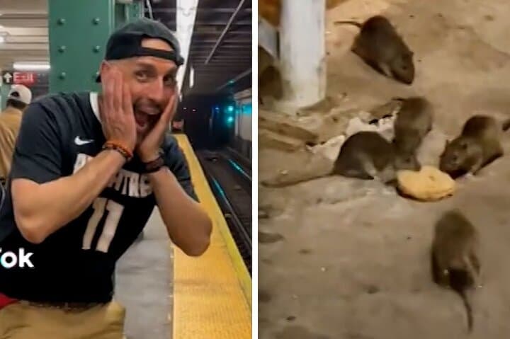 Late Night Rat Tours: NYC's Urban Rodent Walk with Kenny Bollwerk photo 1