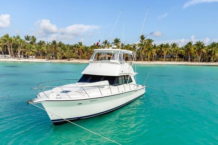 Saona VIP Island Private Yacht Experience from Punta Cana