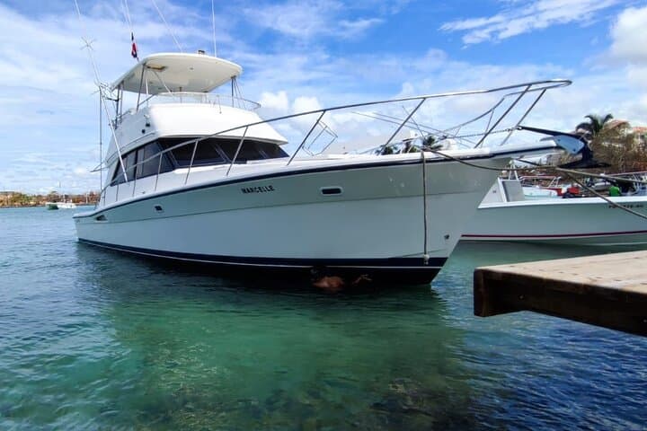 Saona VIP Island Private Yacht Experience from Punta Cana photo 6