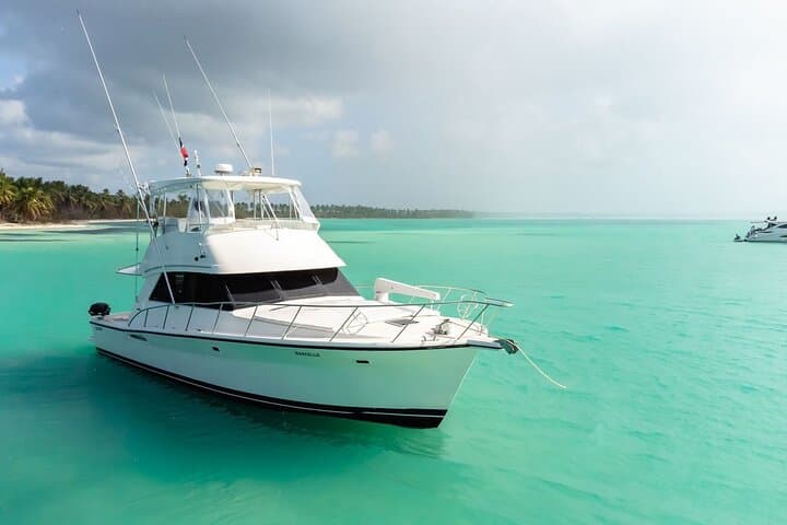 Saona VIP Island Private Yacht Experience from Punta Cana photo 3