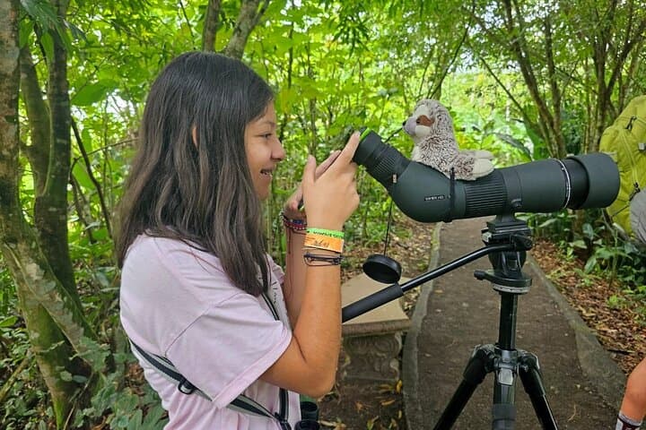 Up-Close with Arenal's Sloths: La Fortuna Wildlife Walk photo 2