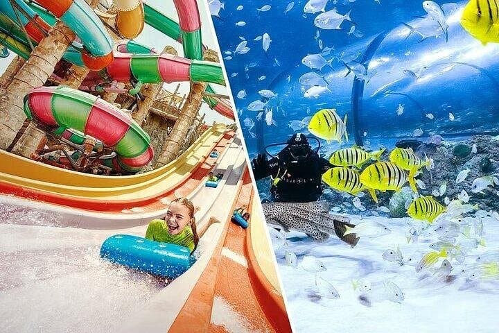 Yas Waterworld & National Aquarium Abu Dhabi: Combo Tickets and What to Expect photo 1