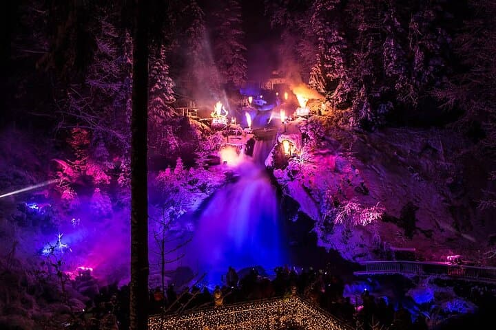 Black Forest Fairytale Tour to Triberg — Winter Waterfalls, Cuckoo Clocks & Markets