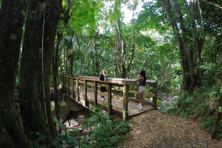El Yunque Beach Jetski & Rainforest Hike — Luquillo Jet Ski Adventure from San Juan photo 3