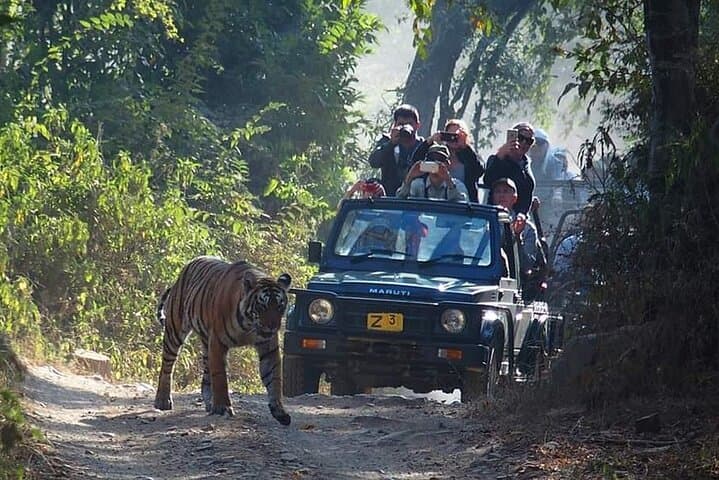 2-Day Jaipur Heritage Tour with Ranthambore Tiger Safari photo 5