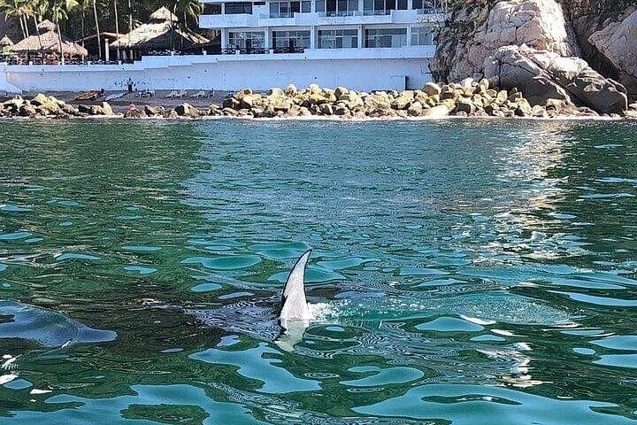 Puerto Vallarta Coastal Tour Aboard Bruna - Shared 3-Hour Sea Cruise photo 4