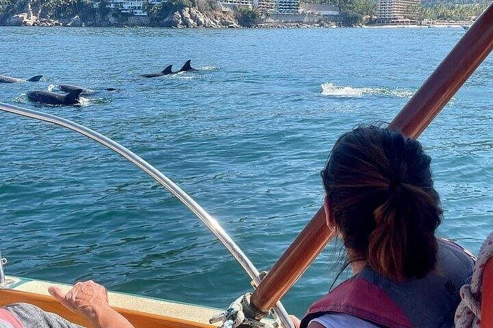Puerto Vallarta Coastal Tour Aboard Bruna - Shared 3-Hour Sea Cruise photo 3