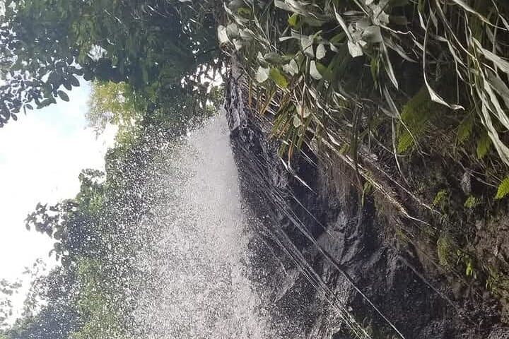 St. Lucia Waterfall Expedition: Rappel Three Hidden Falls Near Soufrière photo 3