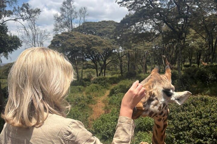 Nairobi National Park Day Safari: Giraffe Centre & Elephant Orphanage Tour photo 3