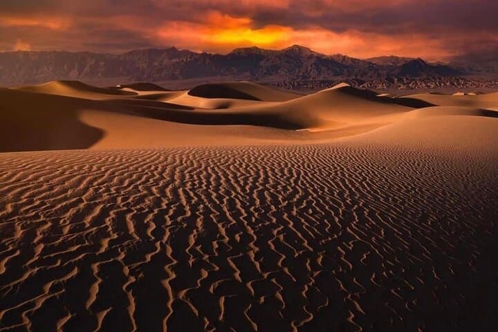 Doha Night Desert Safari: Dune Bashing, Camel Rides & Bonfire Experience photo 6