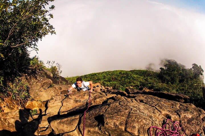 Summit Pedra da Gávea: Full-Day Guided Hike from Rio de Janeiro photo 4