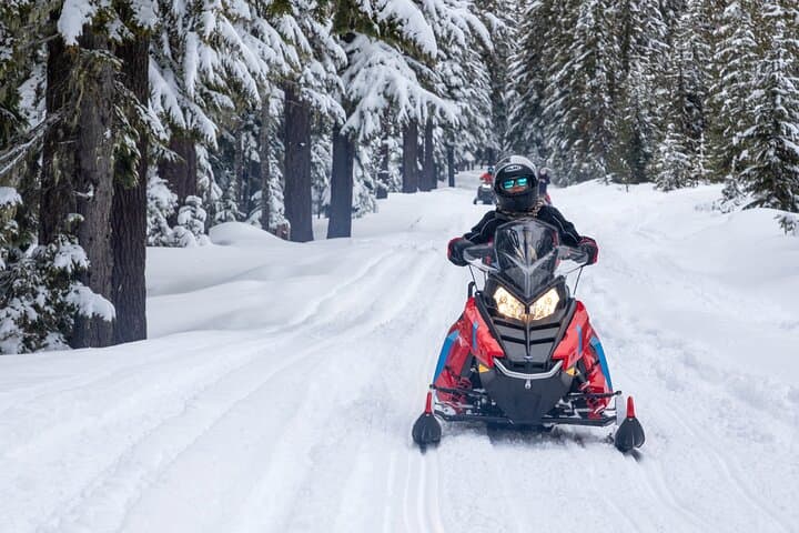 90-Minute Snowmobile Adventure in Mt. Hood National Forest