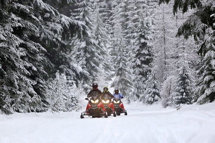 90-Minute Snowmobile Adventure in Mt. Hood National Forest photo 2