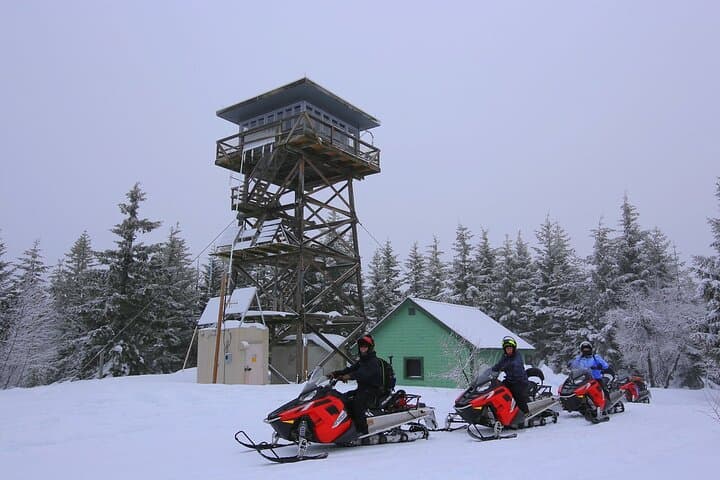 90-Minute Snowmobile Adventure in Mt. Hood National Forest photo 3