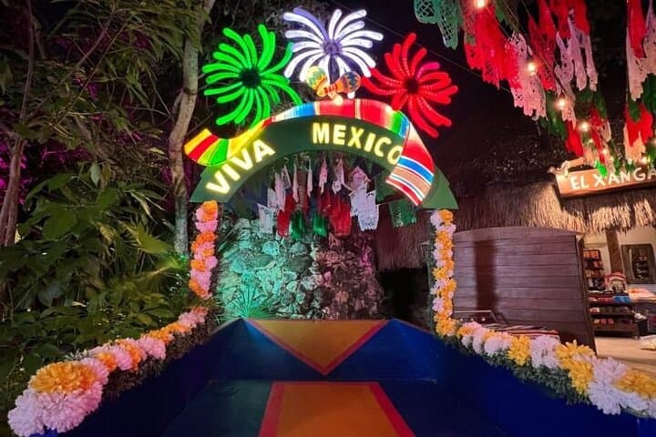 Xoximilco Trajinera Party in Cancun: Night Canal Dinner & Open Bar Experience photo 3