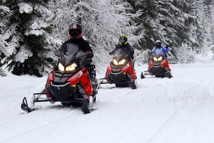 90-Minute Snowmobile Adventure in Mt. Hood National Forest photo 4