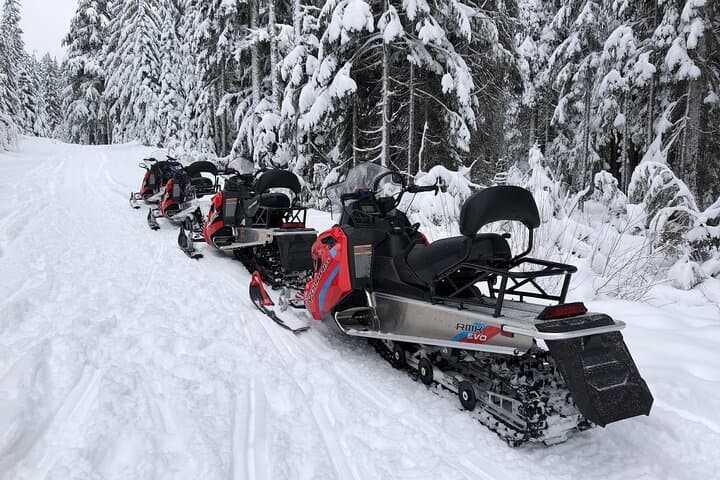 90-Minute Snowmobile Adventure in Mt. Hood National Forest photo 5