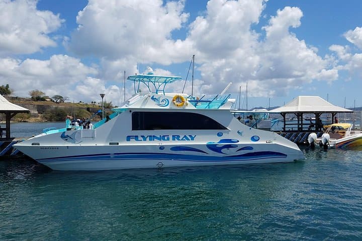 St Lucia Airport Express Ferry Transfer: Hewanorra to Rodney Bay via Pitons photo 1