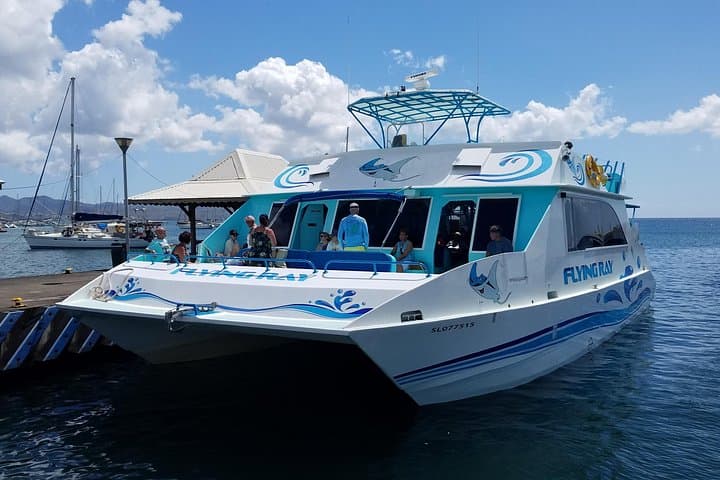 St Lucia Airport Express Ferry Transfer: Hewanorra to Rodney Bay via Pitons photo 2