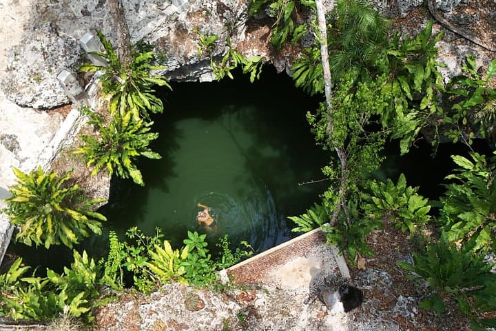 Private Jeep Cenotes Expedition in Cozumel — Swim Otoch Park & Mayan Ceremony photo 1