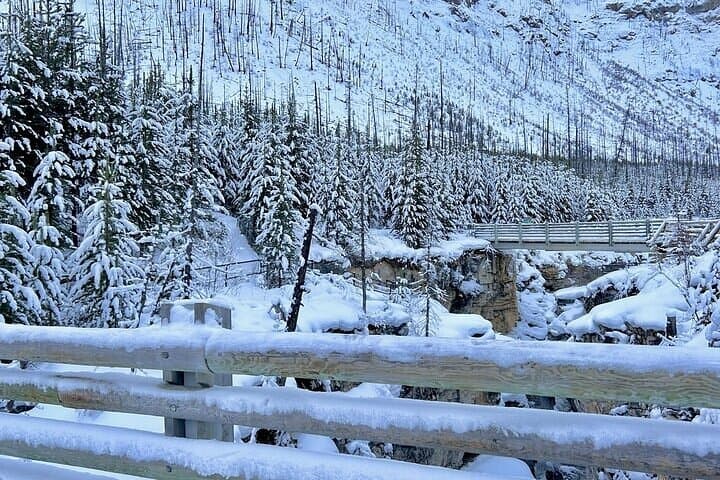 Lake Louise, Moraine & Emerald Lake Day Trip from Banff: A One-Day Rocky Mountain Showcase photo 4