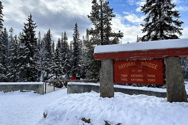 Lake Louise, Moraine & Emerald Lake Day Trip from Banff: A One-Day Rocky Mountain Showcase photo 5