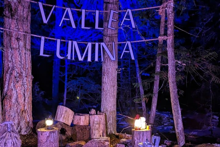 Sea-to-Sky Day Tour: Porteau Cove, Shannon & Brandywine Falls, Whistler & Vallea Lumina photo 6