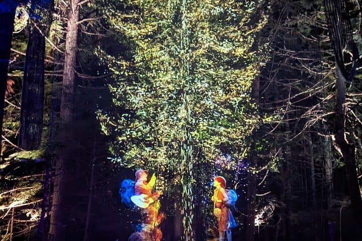 Sea-to-Sky Day Tour: Porteau Cove, Shannon & Brandywine Falls, Whistler & Vallea Lumina photo 5