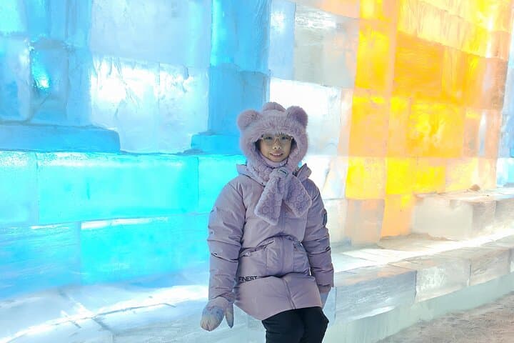 VIP Harbin Ice and Snow World Private Day Tour — Skip-the-Line Ice Festival Experience photo 1