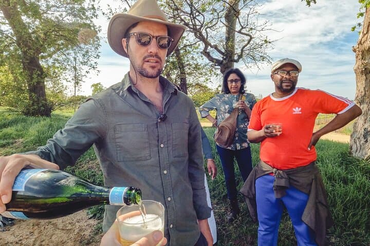 Constantia Wine Walk: Storytelling Vineyard Tour with Lunch from Cape Town photo 4