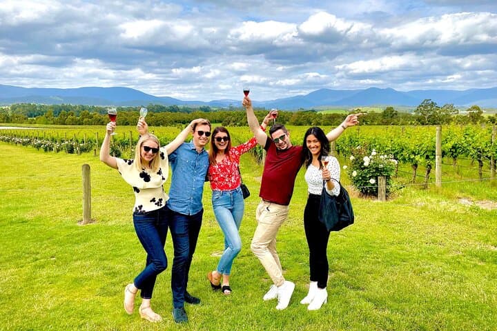 Midday Yarra Valley Wine Tasting — Relaxed Half‑Day Tour from Melbourne photo 2
