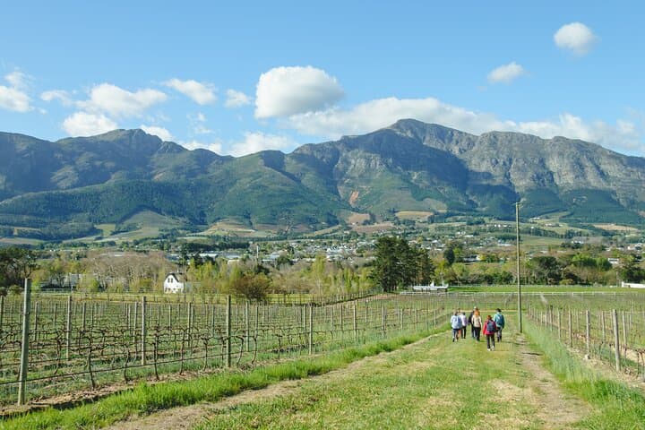 Franschhoek Wine Walk: 3 Farms, 8 Tastings & Farm-Style Lunch photo 1