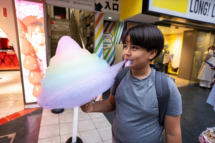 Custom Tokyo Private Family Tour: Tailor-Made 4‑Hour Family Adventure photo 2