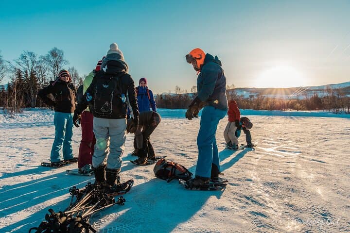 Snowshoeing Around Levi: Guided Arctic Wilderness Tour photo 5