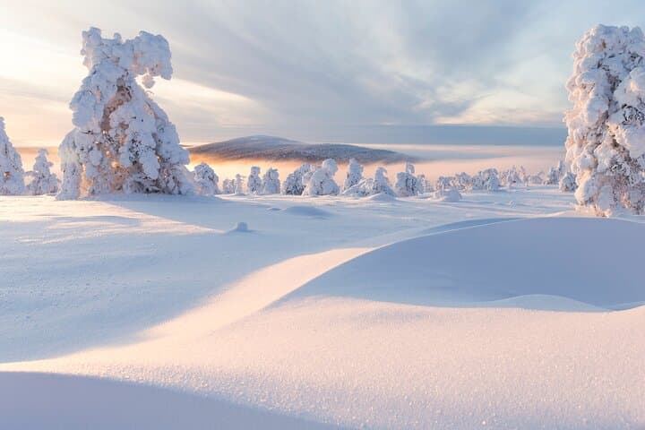 Snowshoeing Around Levi: Guided Arctic Wilderness Tour photo 2